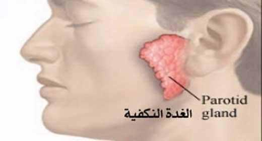 بعد إصابة 21 طالبًا بالغدة النكافية.. صحة الأقصر: نستقبله كل عام