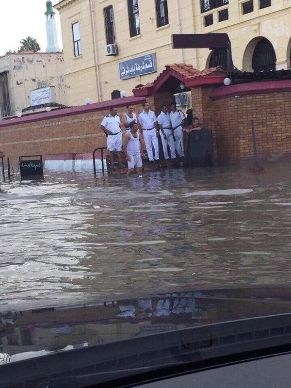 “الداخلية” تخلع ملابسها وصعق حصان و”توك توك بشري” حصاد غرق الإسكندرية