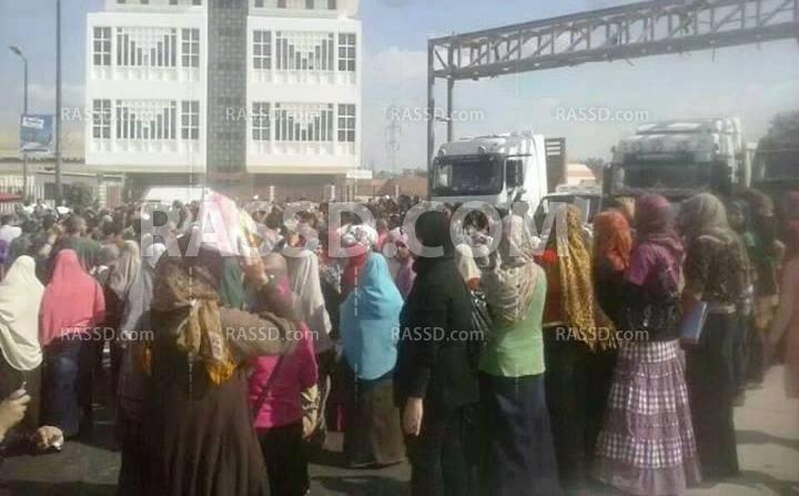 طلاب دمنهور يقطعون الطريق الزراعي اعتراضا على مصرع زميلتهم