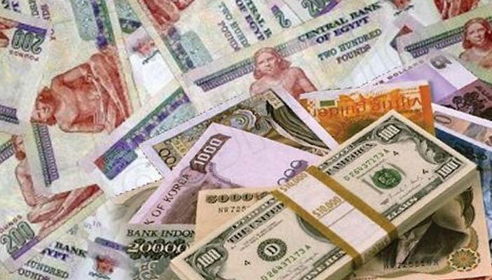 شركات الصرافة لـ”رصد” : نتوقع ارتفاع سعر الدولار إلى 8.55 جنيه