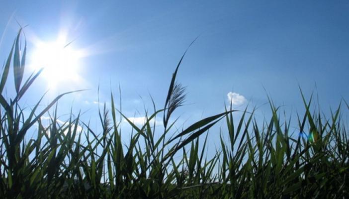 الأرصاد: طقس اليوم معتدل على السواحل الشمالية حتى القاهرة وشمال الصعيد