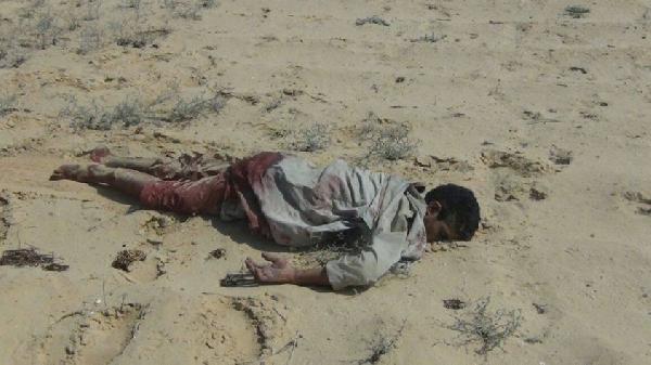 نشطاء يستنكرون تعذيب الجيش لمواطنين بسيناء