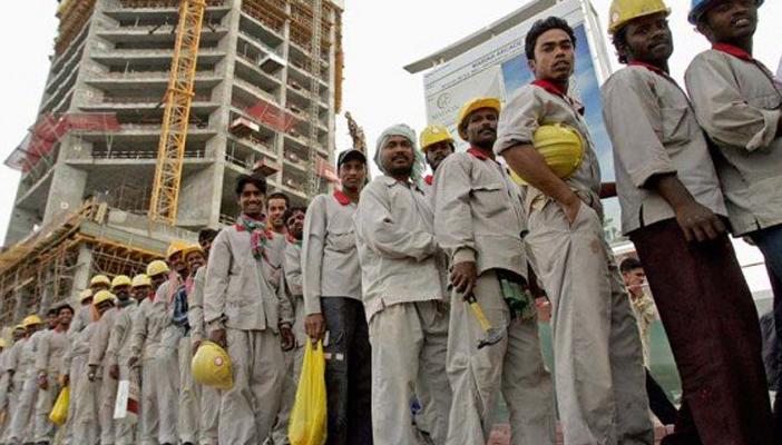 بسبب “الحباري”.. آلاف الباكستانيين يواجهون  خطر الترحيل من الإمارات