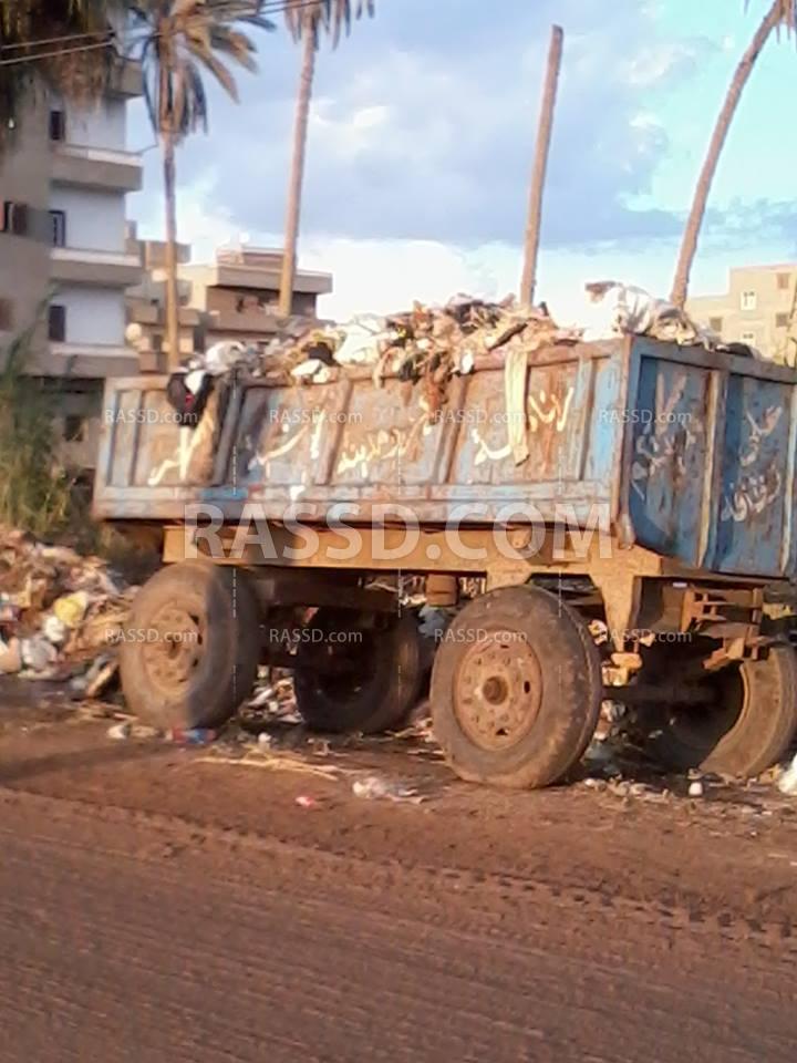 صور| “أهالي الدقهلية”: فين مجلس المدينة.. القمامة تملأ الشوارع؟