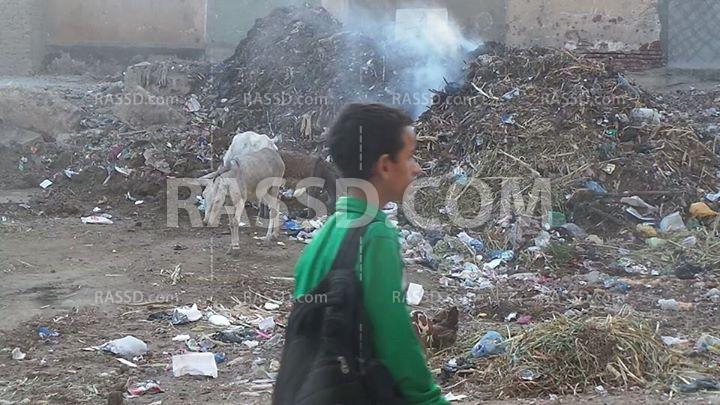 تلال القمامة بالقوصية.. حرمان من الحق في شمة هوا نضيف