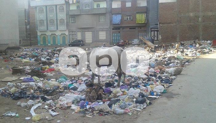 بالصور.. أرض البرش بدمياط غارقة في القمامة