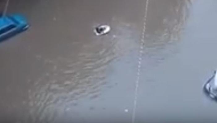 بالفيديو.. العوامات في شوارع الإسكندرية ومقتل 6 بالبحيرة بسبب الأمطار