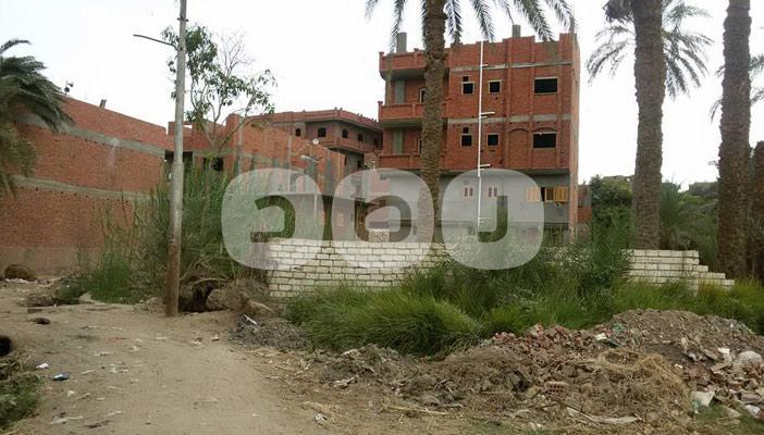 زيادة التعدي على الأراضي الزراعية بالفيوم