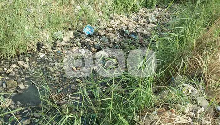 الفيوم: المصارف الزراعية تنضب بقرية أبو كساة