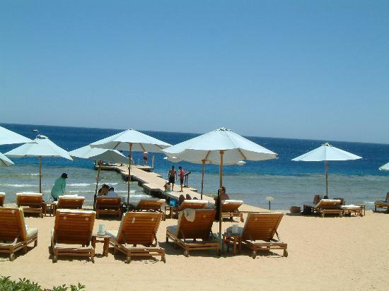 الدنمارك تحذر مواطنيها من التوجه إلى سيناء