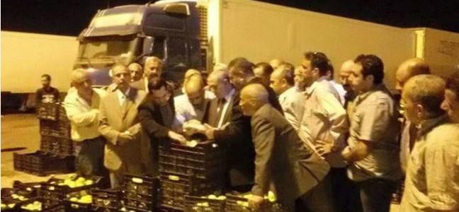 ضبط نصف طن حشيش بداخل شحنة تفاح في بورسعيد