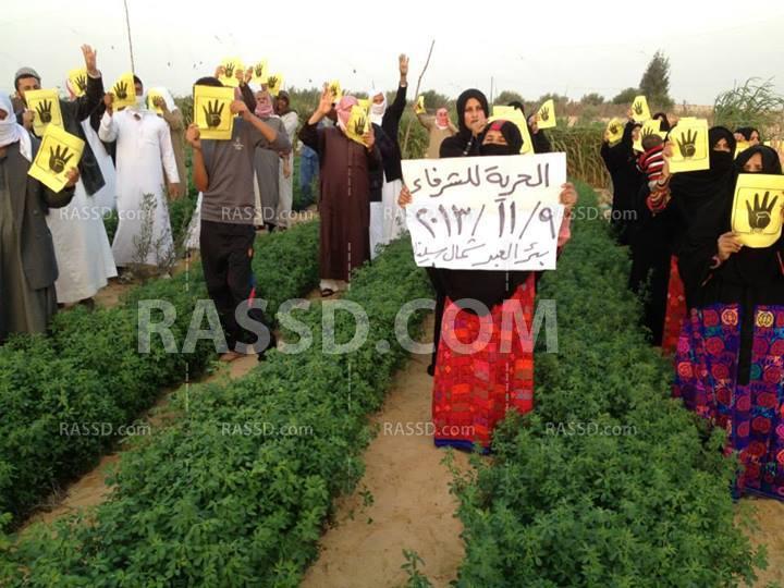 علامة “رابعة” بحقول بئر العبد في تظاهرة ضد الانقلاب