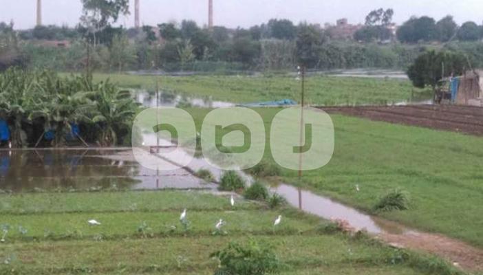 إهدار 25 مليون متر مكعب من مياه فرع رشيد