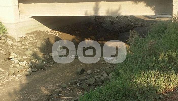 جفاف ترعة الشباب بمركز أبو حماد بالشرقية