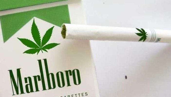 إنتاج أول علبة سجائر تحتوى على مخدر الماريجوانا فى أميركا بـ 89 دولارا