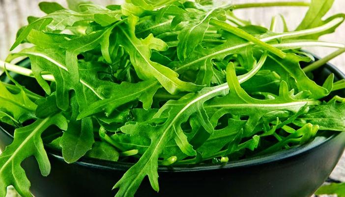 تعرف على فوائد الجرجير المذهلة لجميع أجزاء الجسم