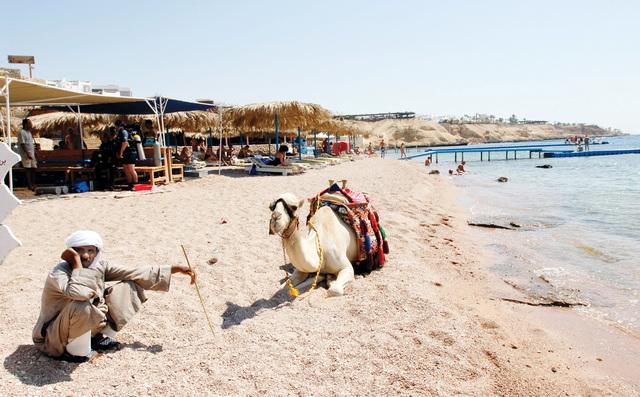 الانقلاب يروج للسياحة في المكسيك