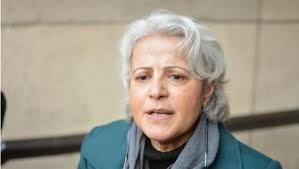 بالفيديو..إعلام السيسي يهاجم منى مينا ومجلس نوابه يستدعيها والصحة تحقق