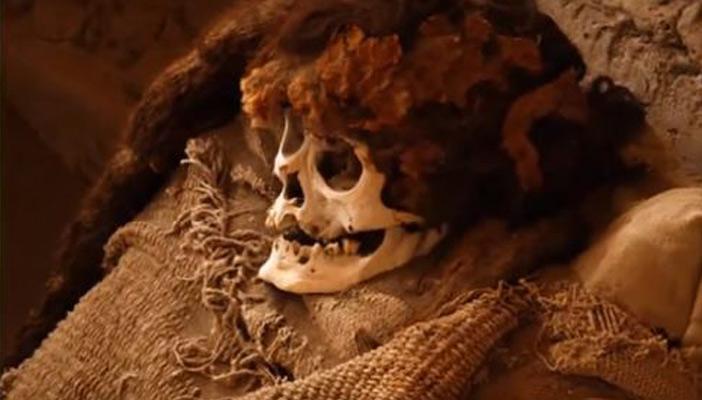 بالفيديو.. أغرب 10 حالات تهريب في المطارات حول العالم