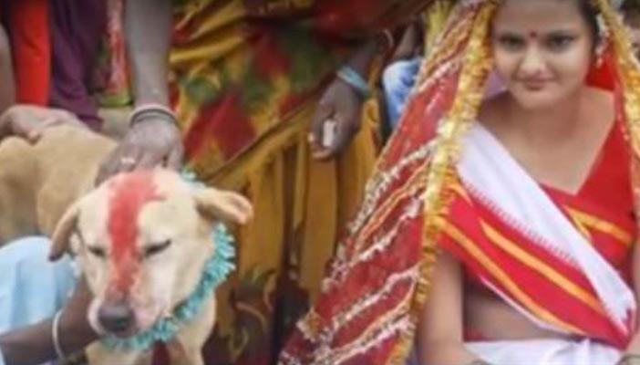 بالفيديو.. مشاهد غريبة لا يمكن أن تراها إلا في الهند