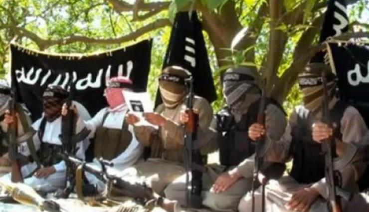 جولد: مبايعة “بيت المقدس” لـ”داعش” يفقدها دعم السيناويين