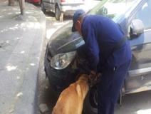 انفجار عبوة ناسفة في المطرية وإبطال مفعول أخرى بالجيزة