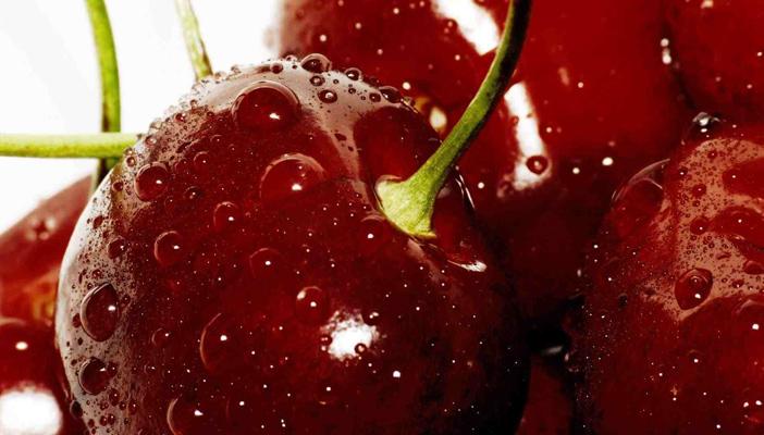 تعرف على أهم الأغذية التي تشفي البنكرياس