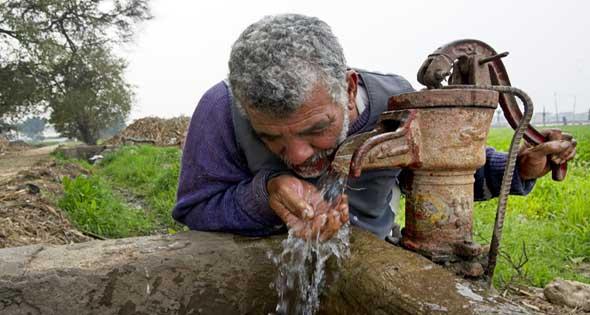 مزارعون: ٩٠٪ من أمراض الفلاحين سببها المبيدات