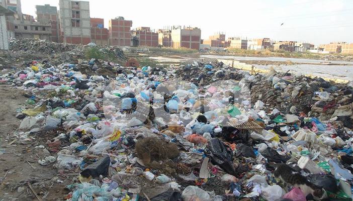 بالصور.. أزمة القمامة بمنطقة العوايد في الإسكندرية مستمرة