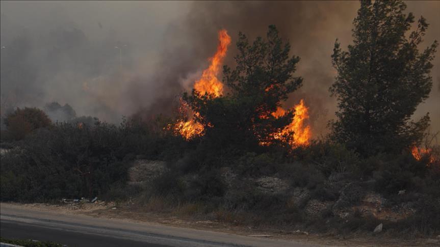 تجدد اندلاع الحرائق في “إسرائيل”.. والخسائر الأولية 120 مليون دولار