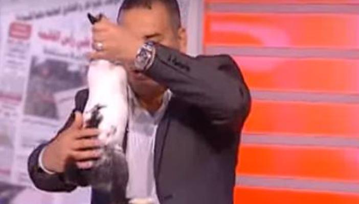 بالفيديو.. جابر القرموطي يستضيف “أرنب” ويعتذر له على الهواء