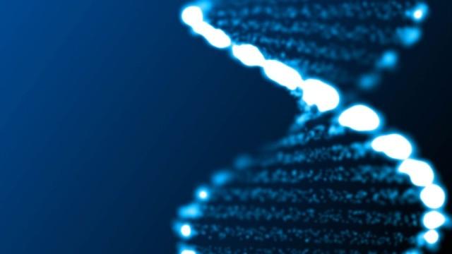 فريق علمي يرسم خريطة للتنوع الوراثي في أفريقيا