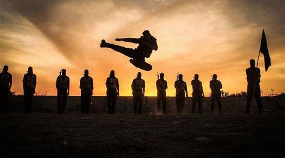 الدنمارك تستعين بمتطوعين شباب لمكافحة الفكر الجهادي