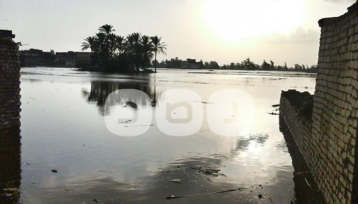 البحيرة.. المتضررون من غرق الأراضي بحوش عيسى: التعويضات لا تكفي