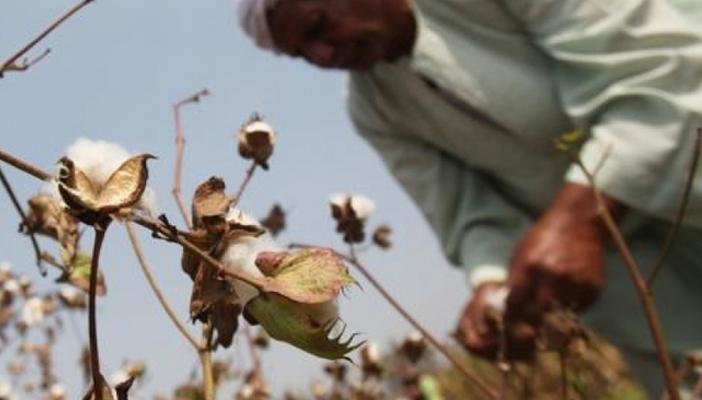 35 مليون يورو من الوكالة الفرنسية لتحسين القرى الأكثر فقرا في مصر