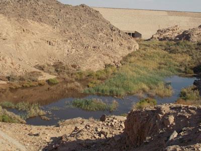 رئيس شركة الصرف الصحي بأسوان يستقيل عقب تسرب المياه للمحاجر