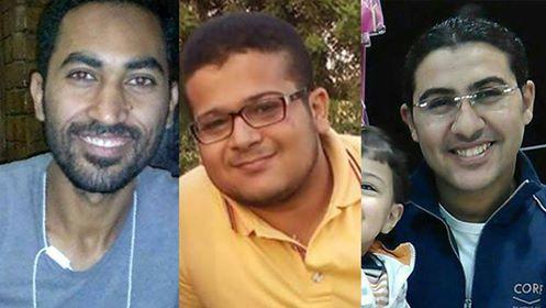 خطاطيف السيسي – سيلين ساري