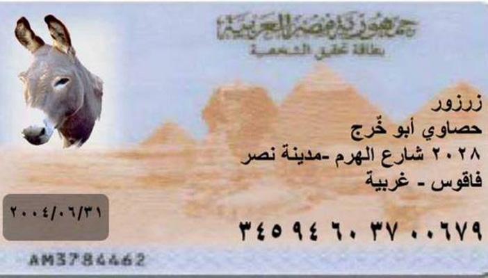 مغردو “تويتر” يسخرون من إصدار رقم قومي لـ”الحمير” في مصر