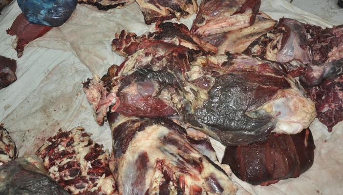 النيابة تأمر بضبط “برلماني سابق” وشقيقيه لتورطهم في صفقة لحوم فاسدة