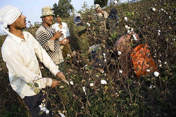 “الزراعة” تنسق لوقف ملاحقة المزارعين المتعثرين