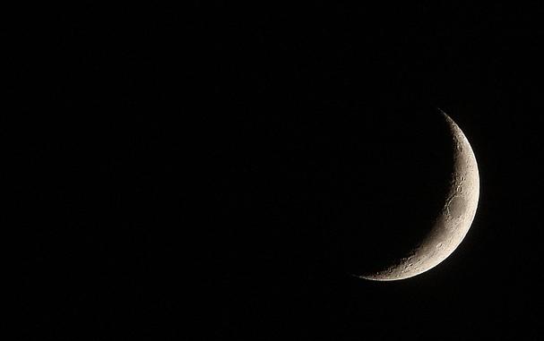 الإفتاء: غدًا السبت أول أيام شهر ربيع الأول