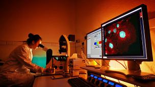 الصحة العالمية: عدد المصابين بالسرطان يتجاوز 14 مليونا سنويا