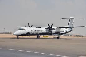 خارجية الانقلاب: السويد لم تفرج عن طاقم الطائرة المصري