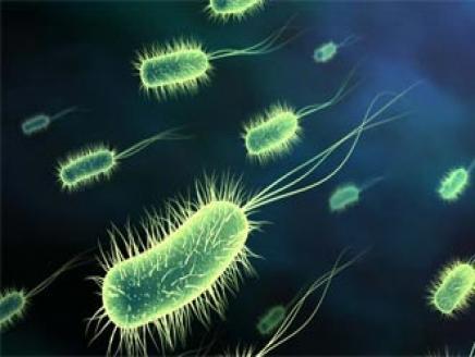 جهاز مبتكر يكشف البكتيريا المقاومة للأدوية خلال 4 ساعات فقط