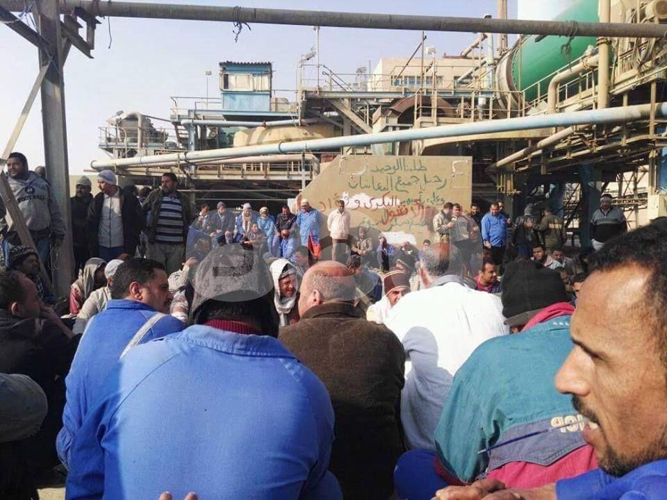 بالصور استمرار اضراب عمال مصنع سكر الفيوم لليوم الحادي عشر علي التوالي