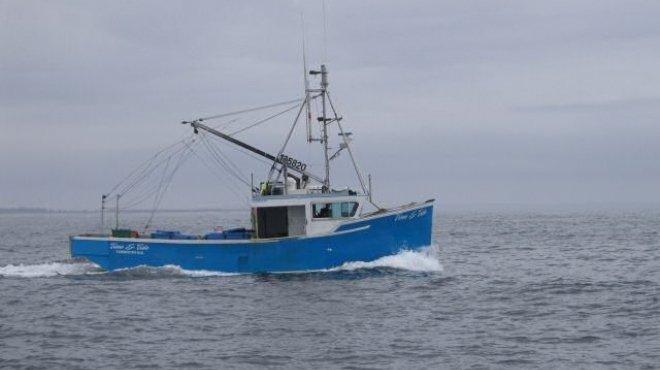 القبض على 14 صيادًا مصريًا بخليج سرت في ليبيا