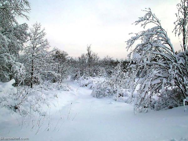 الأحوال الجوية السيئة تقتل 6 أشخاص في الولايات المتحدة
