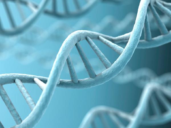 بالصور | أقوى 10 إنجازات طبية في 2014