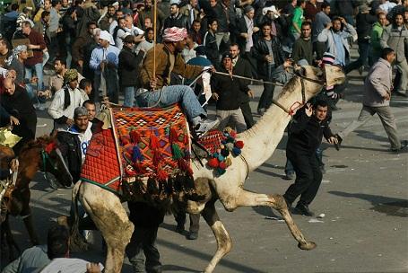 فيديو… للتاريخ.. ساويرس: الإخوان حموا الشباب بموقعة الجمل