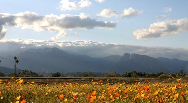 “الأرصاد”: طقس اليوم مائل للدفء نهاراً شديد البرودة ليلاً.. القاهرة 20